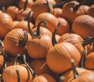 Organics Vs. Local 的图像结果