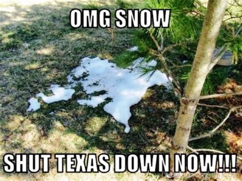 87 Windy Winter Memes - Funny Pictures – DesiComments.com