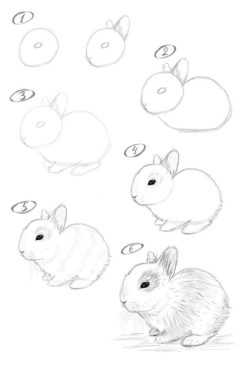 How Do You Draw A Bunny Step By Step