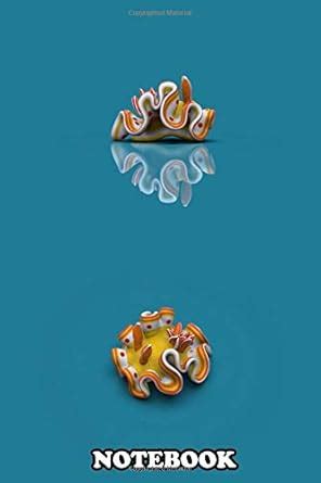 Notebook: Felimare Porterae Is A Species Of Sea Slug A Dorid Nud ...