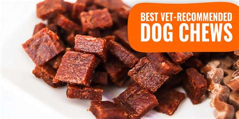 10 Best Vet-Recommended Dog Chews - Texture, Flavor, Reviews & FAQ