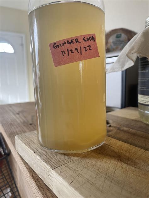 Noticed alot of sentiment at the bottom of my ginger beer and there's ...