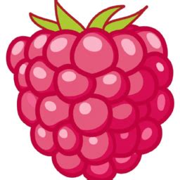 Image result for French Raspberry Color