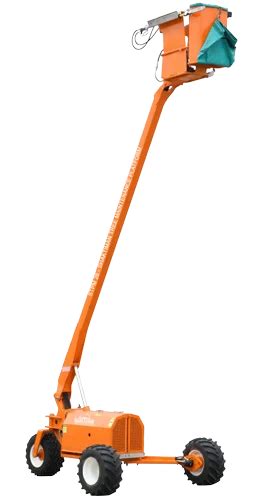 Image result for Mango Tree Pruning Machine