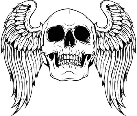 Skull Wings Silhouette Outline Drawing Vector Illustration Dead Art ...