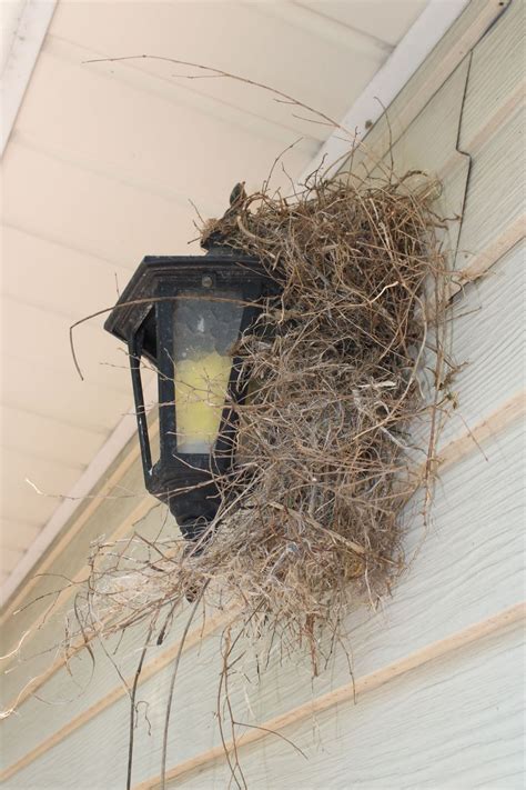 Canon EOS T7 Tutorial 的图像结果