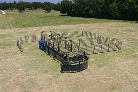 Cattle Catch Pen Designs at Fredia Storm blog
