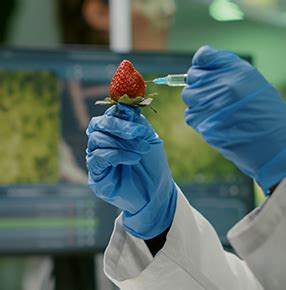 All courses | LMS-GOAL