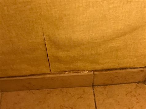 RED ROOF INN BALTIMORE (Woodlawn) - Hotel Reviews, Photos, Rate ...