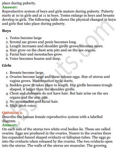 Image result for Reproduction in Humans Class 8 ICSE