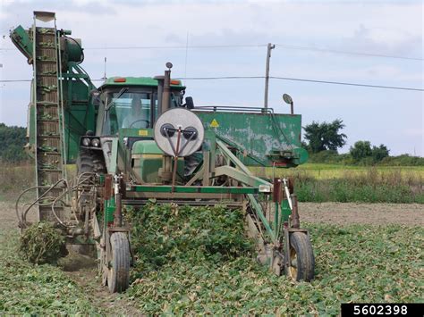 Agriculture Machines 的图像结果