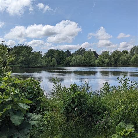 MOTE PARK Guide (2026) All You Need to Know BEFORE You Go (with Photos)