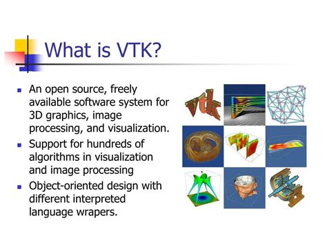 VTK Visualization 的图像结果