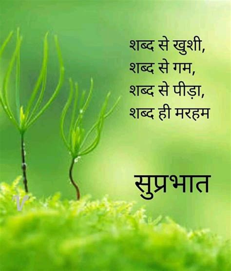 800+ Shandar Good Morning Images in Hindi
