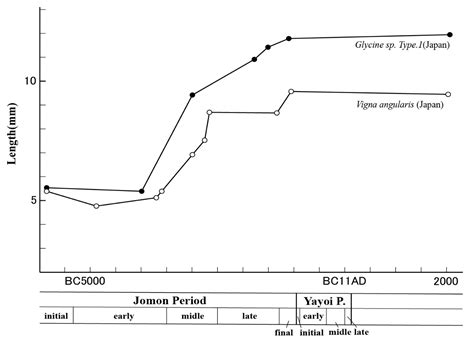 Early Grain Cultivation and Starting Processes in the Japanese Archipelago
