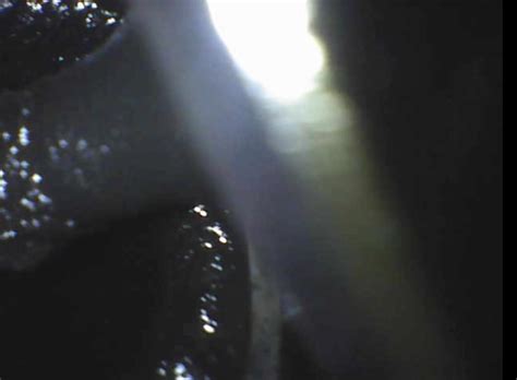 Ford Explorer P303 Code Fixes 的图像结果