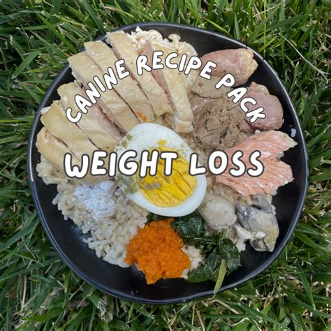 Weight Loss Dog Food Recipe Pack - nikki - pet nutrition