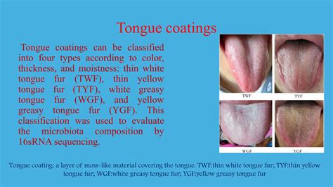 tongue disease lecture Dr Assadawy legacy | PDF