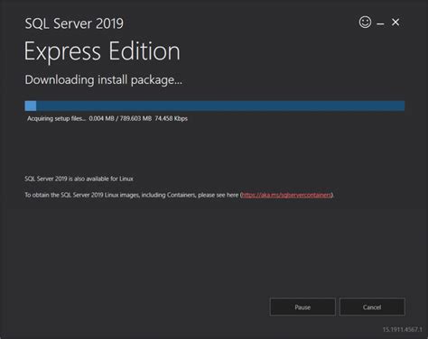Install SQL Server Express 的图像结果