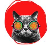 Web Design, Website Designing Company in Delhi, Go Soft India