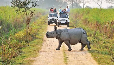 6 Ways To Explore The Unexplored Parts of India - lifeberrys.com