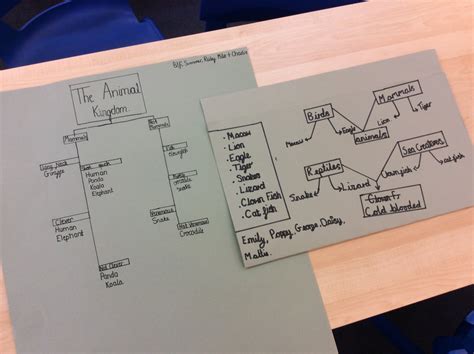 Image result for My Own Classification System