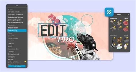 Image result for Pixlr Layers