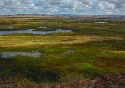 Malheur National Wildlife Refuge (Princeton) - 2020 What to Know Before ...