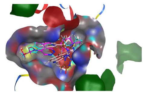 In-Silico Lead Druggable Compounds Identification against SARS COVID-19 ...