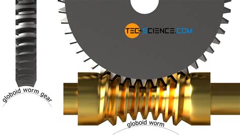Worms and worm gears | tec-science