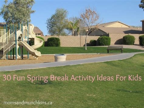 Image result for Spring Break Swing Games