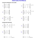 Image result for Multiplying Matrices Worksheet.pdf