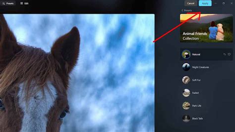 Image result for Luminar Neo Icon Folder