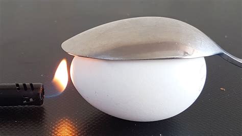 Most Amazing Magic Tricks 的图像结果