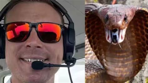 Cobra Snake In Flight Cockpit Shock Pilot What Next | பாம்பு பறக்குமா ...