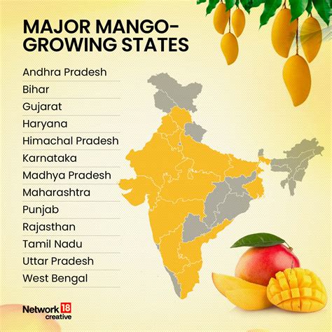 From Alphonso To Gulabkhas, Varieties Of Mangoes Are Grown Across ...