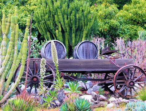 Southwestern Style Landscaping