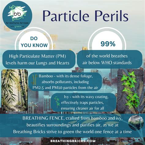 Bad Particles 的图像结果