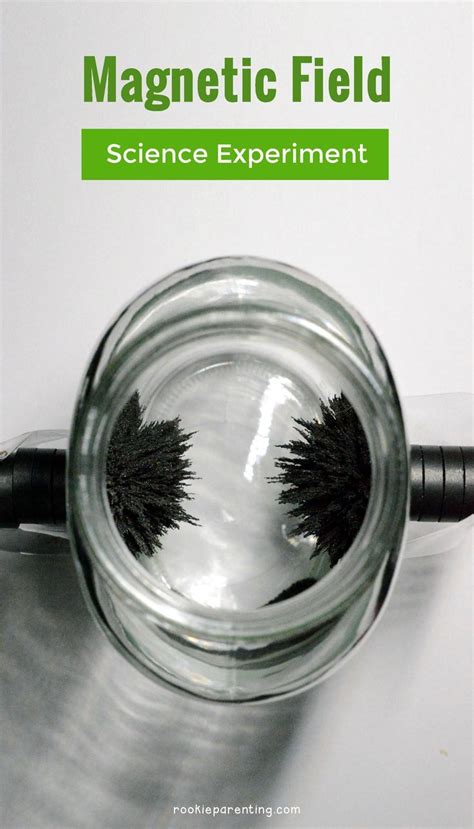 Image result for Magnetic Field Science Project