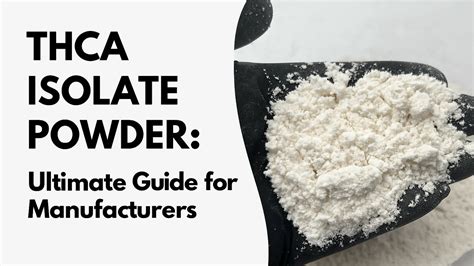 How to Become a Budtender in 2025: Complete Career Guide from Someone ...