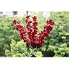 Buy AlphaShop Artificial Flower Bunch (Pink, 9 Stems) ,Artificial Flora ...