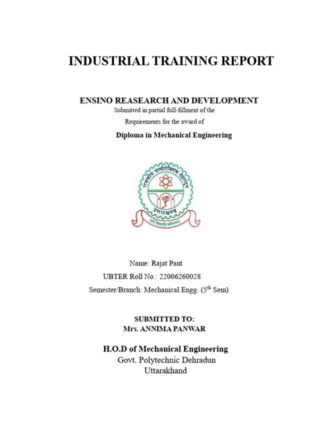 Training Report Examples 的图像结果