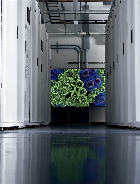 Computer Engineer Live Cells 的图像结果