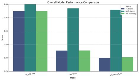An Empirical Investigation into Fine-Tuning Methodologies: A ...