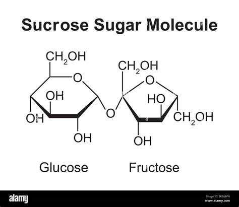 Structural Formula Of Glucose Fructose And Sucrose