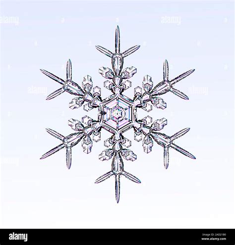 Snowflake. Light micrograph of a stellar dendrite snowflake. Snowflakes are symmetrical ice ...