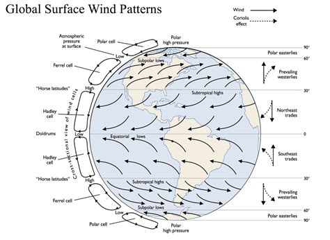Professor Quibb: Ocean Currents and the Thermohaline Circulation