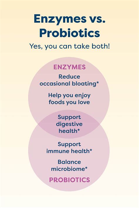 Enzymes 101: What Are Enzymes? | Renew Life