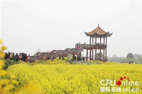 2021年湖北省油菜花节在荆门沙洋开幕-国际在线
