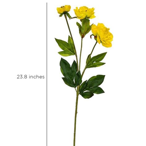 Buy Peony Yellow Flowers 26 Inches online in India – Home4u